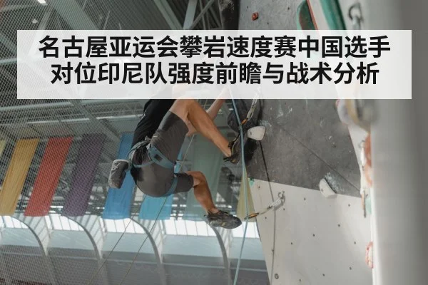 speed climbing competition