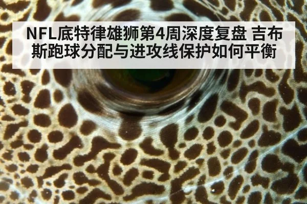 NFL底特律雄狮第4周深度复盘 吉布斯跑球分配与进攻线保护如何平衡